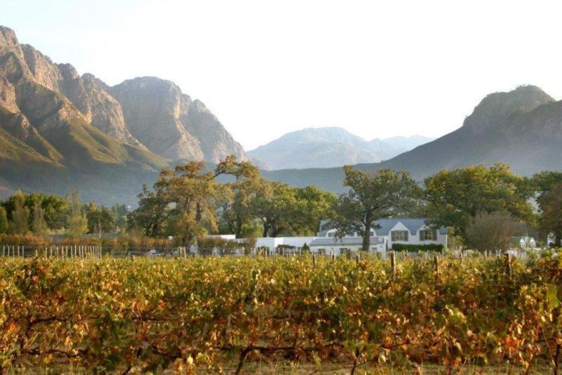 Auberge La Dauphine Guest House Franschhoek Extérieur photo