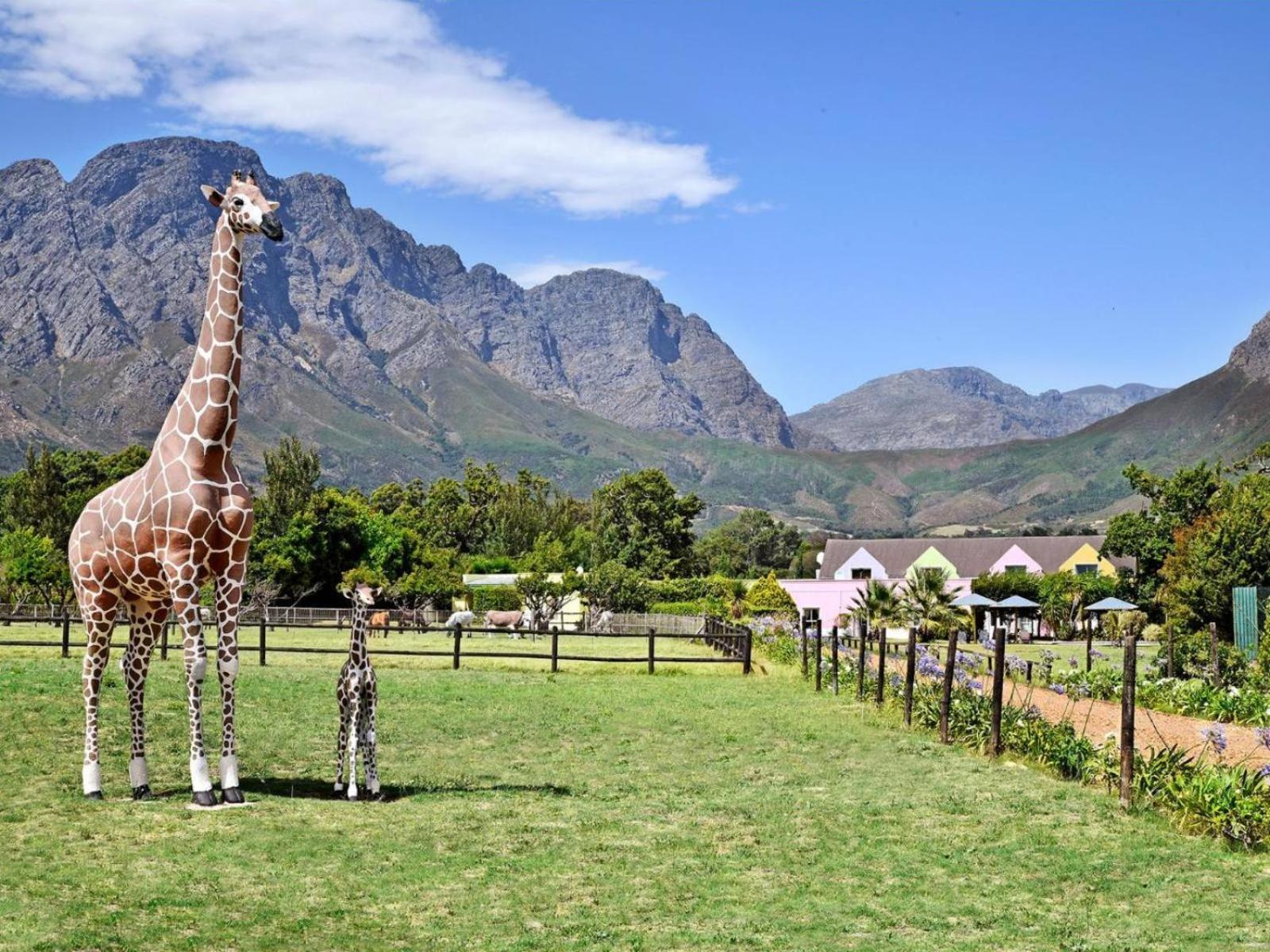 Auberge La Dauphine Guest House Franschhoek Extérieur photo