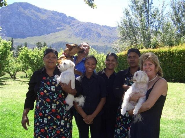 Auberge La Dauphine Guest House Franschhoek Extérieur photo